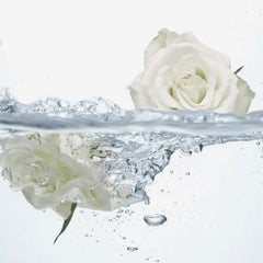 Oriflame Feminelle Refreshing Intimate Wash with Rose Water 300 ML