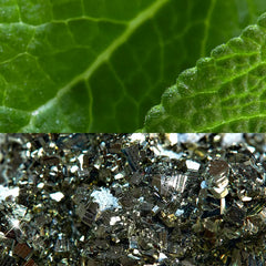 Oriflame North for men Sensitive Protect Hair & Body Wash 250 ML