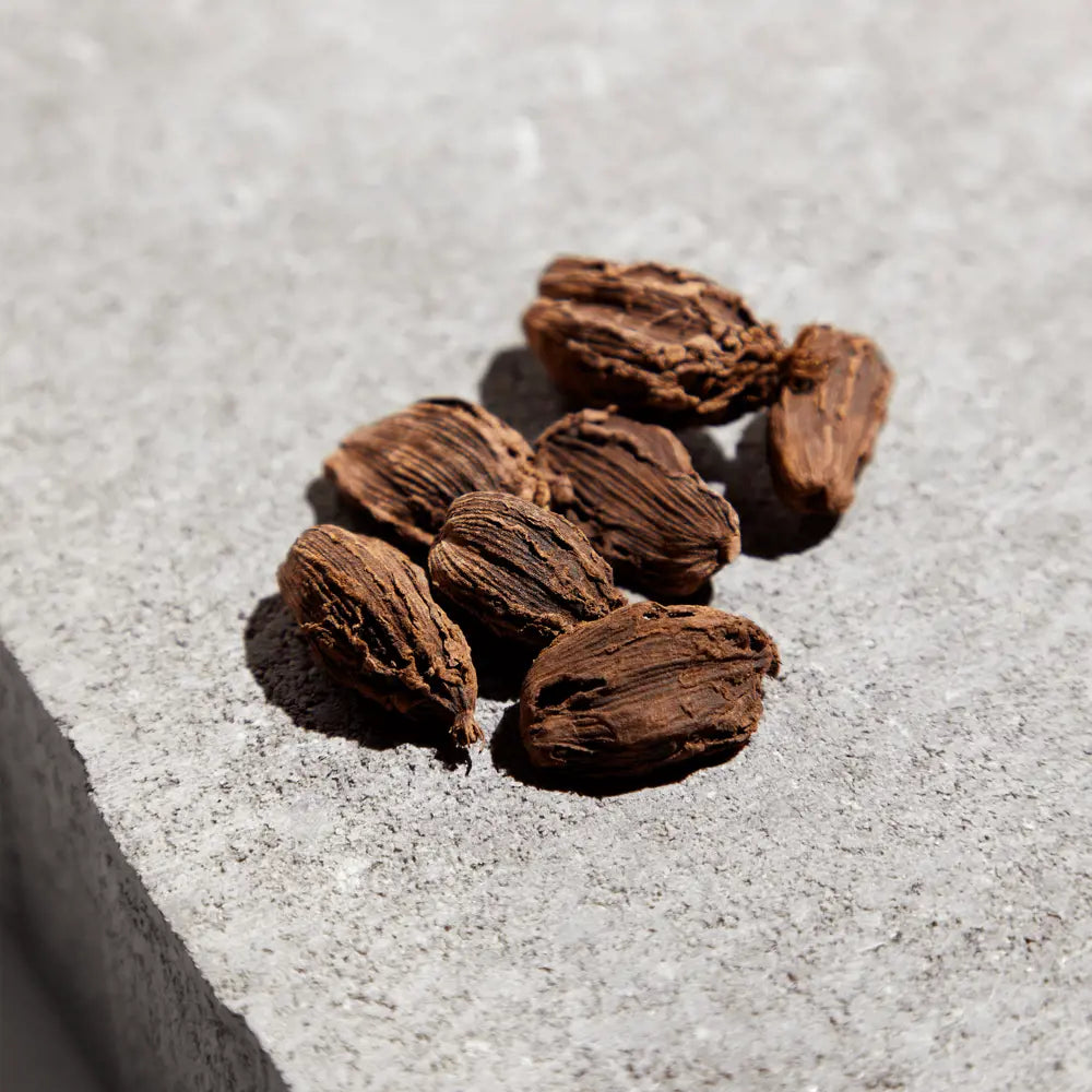 Brown seeds or pods scattered on a light gray surface
